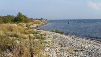 Fantastiskt boende vid havskanten. – bild 9 av 12