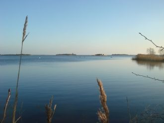 Havsnära stuga med lantligt läge. – bild 19 av 24