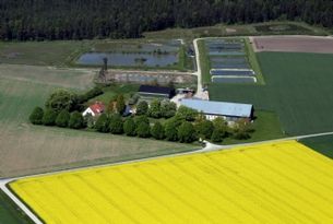 Trevligt boende i lantlig miljö