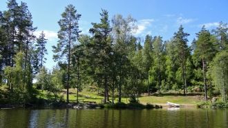 Vackert sjöläge - egen park, strand, brygga & båt – bild 5 av 19