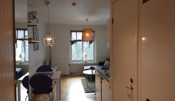 Friluftslägenhet 19 m2, ski in-ski out