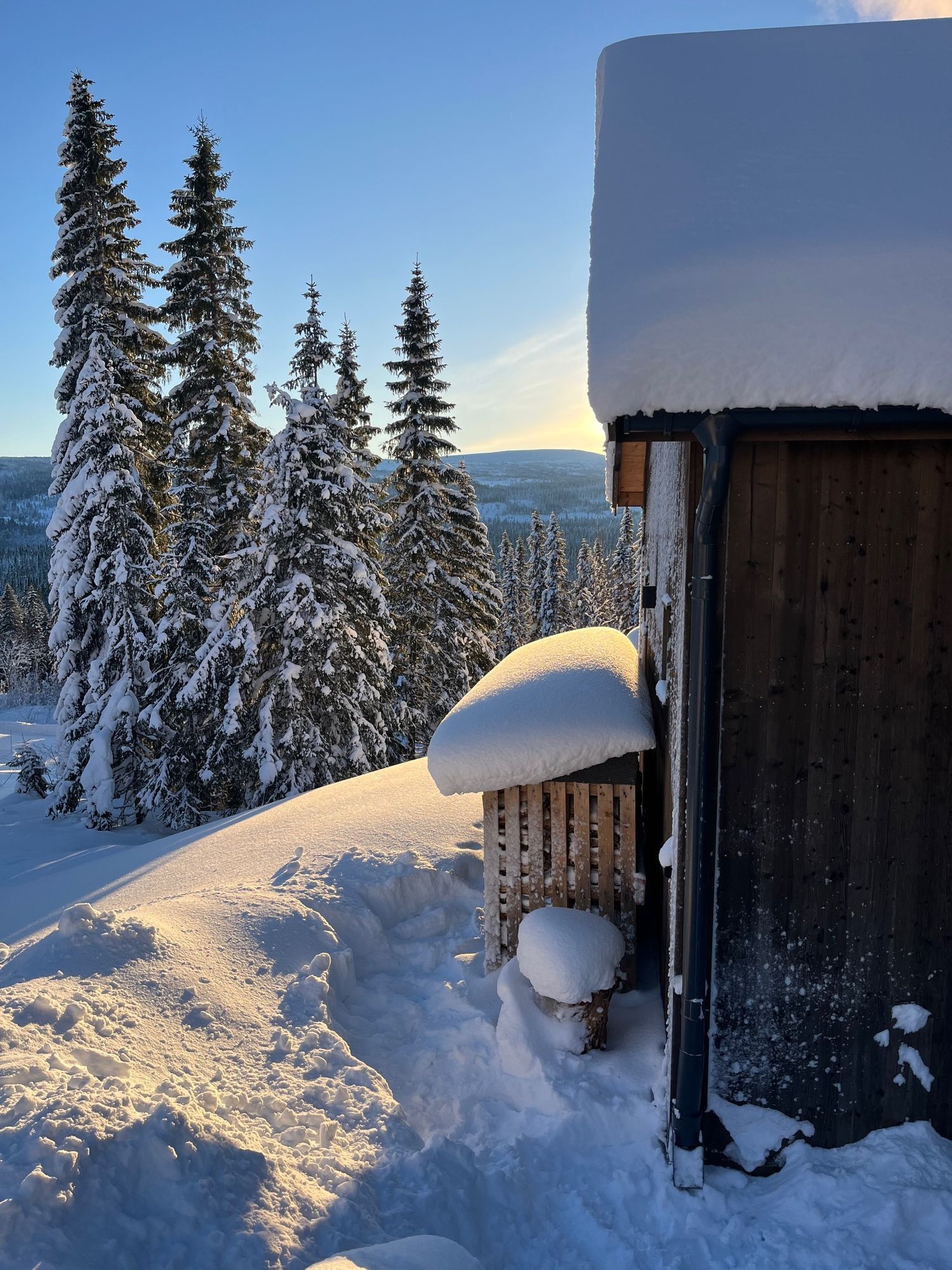 Nybyggd fjällstuga i Edsåsdalen – bild 10 av 24