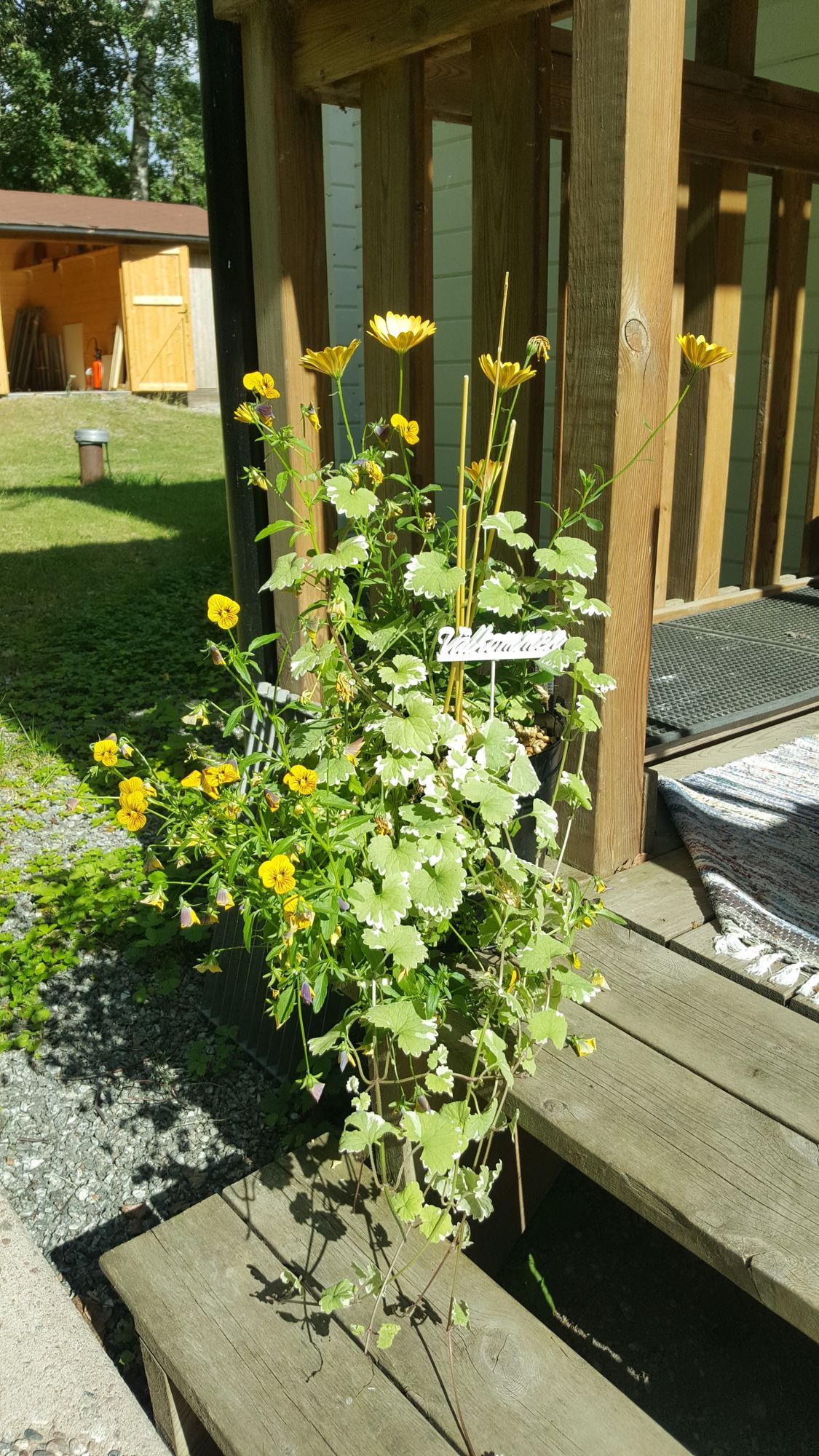 Hus på stor strandtomt vid sjön Mälaren – bild 18 av 24