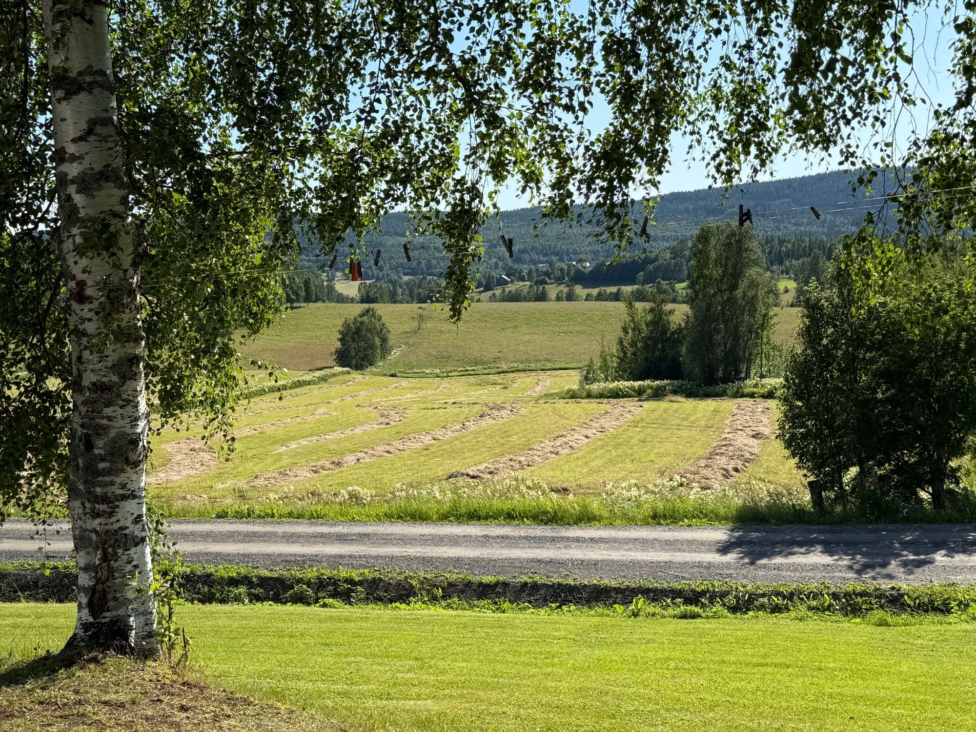 Bo på gård nära världsarvet och Höga Kusten! – bild 9 av 21