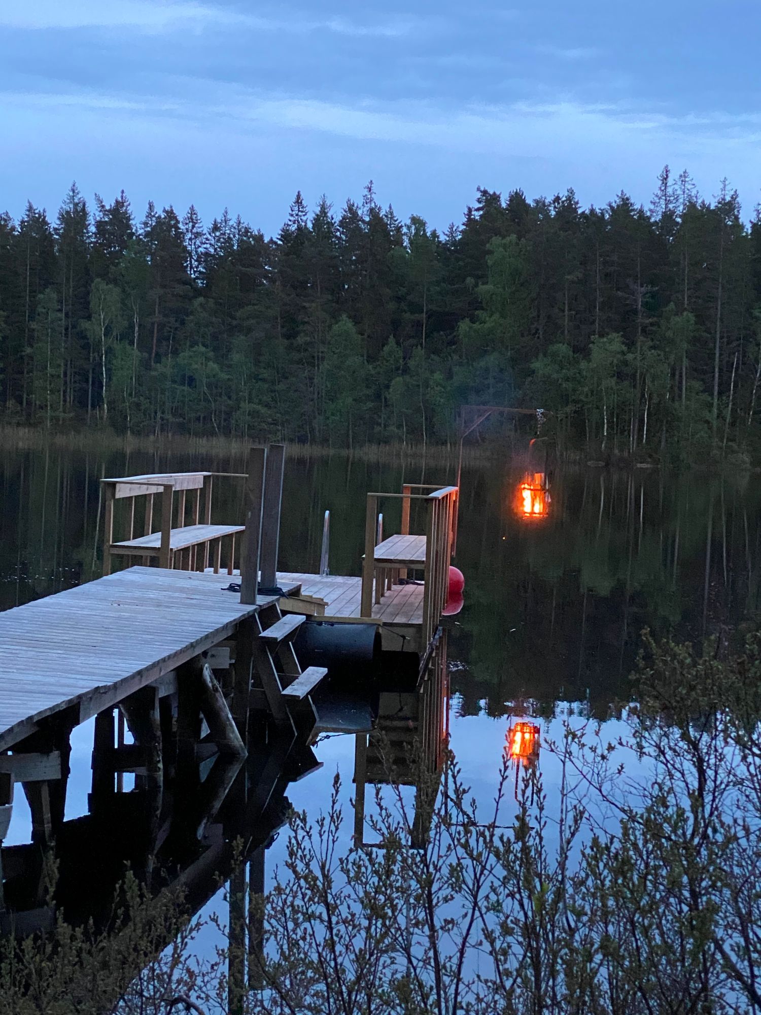 Skogsgård – bild 9 av 24