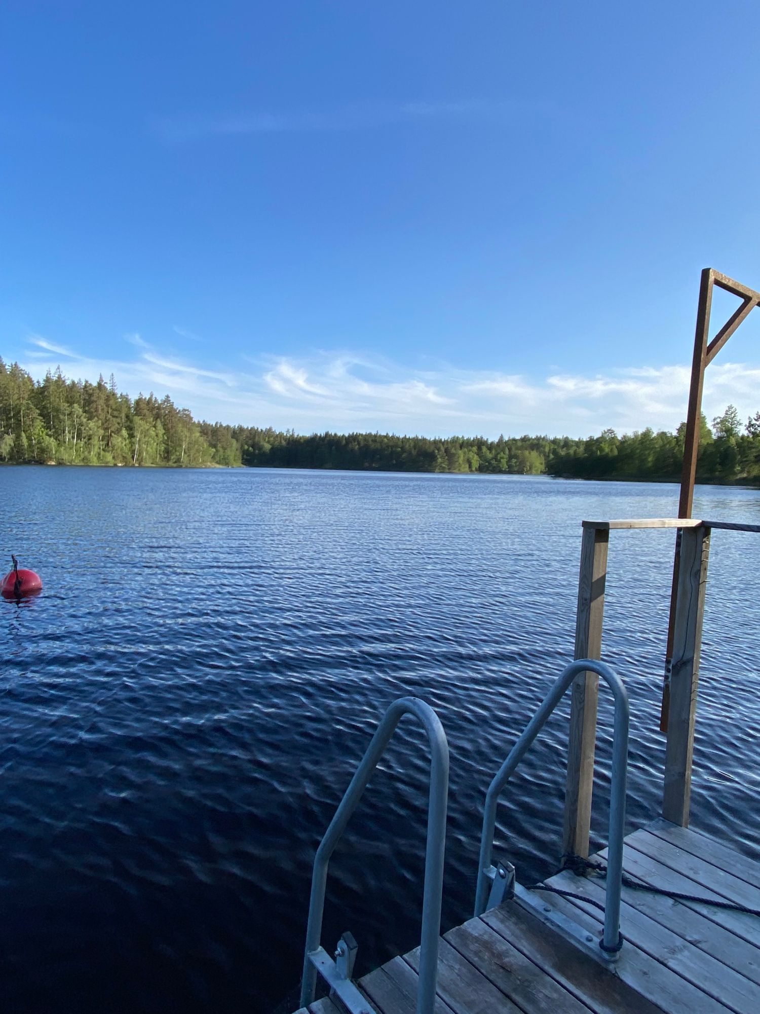 Skogsgård – bild 20 av 24
