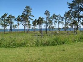 Seeaussicht Nord Gotland