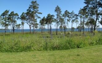 Seeaussicht Nord Gotland