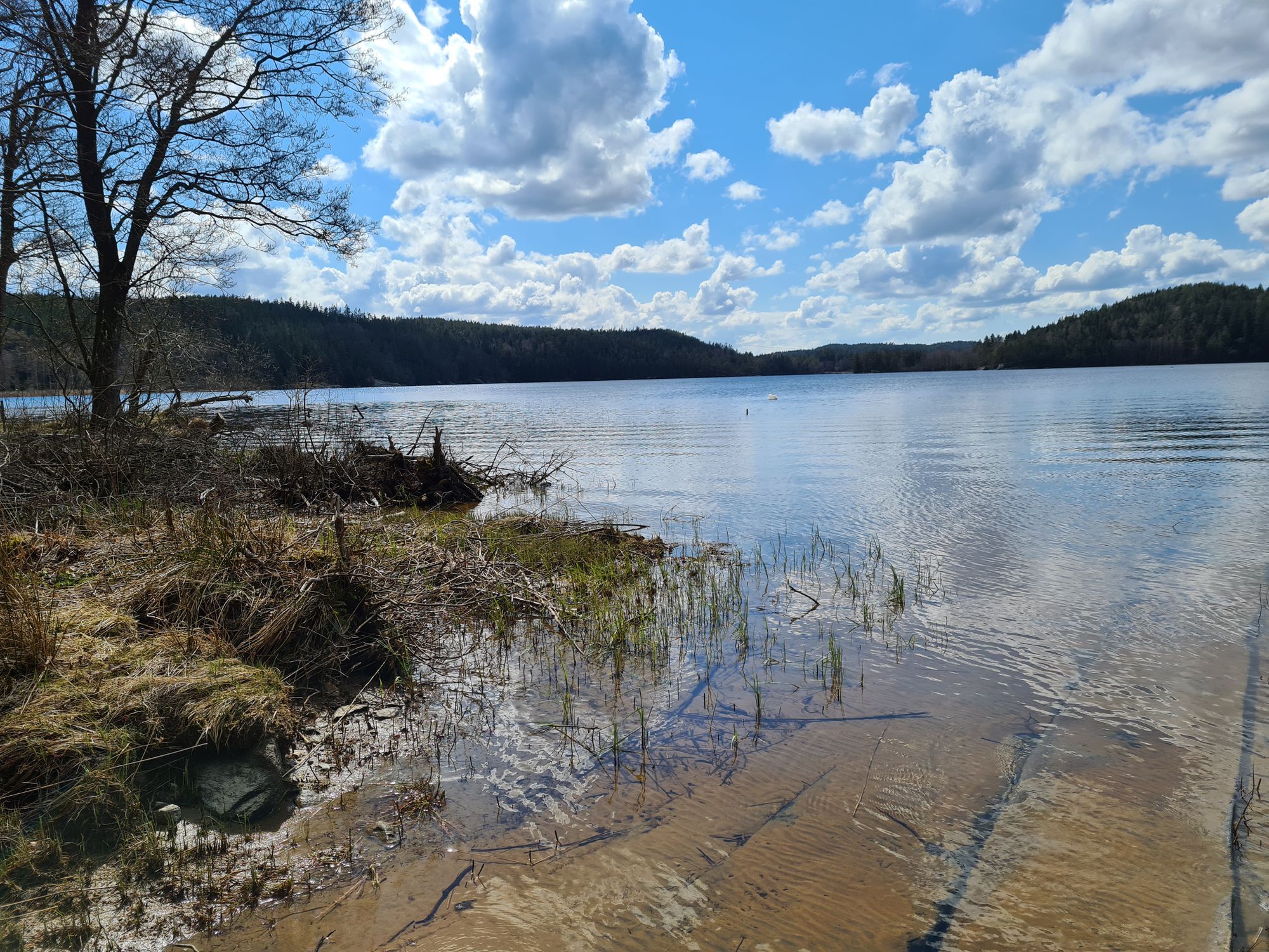 Mysig stuga i Svartedalens naturreservat – bild 16 av 16