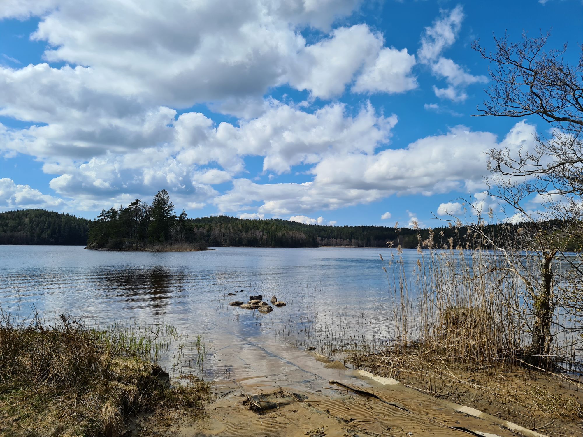 Mysig stuga i Svartedalens naturreservat – bild 15 av 16