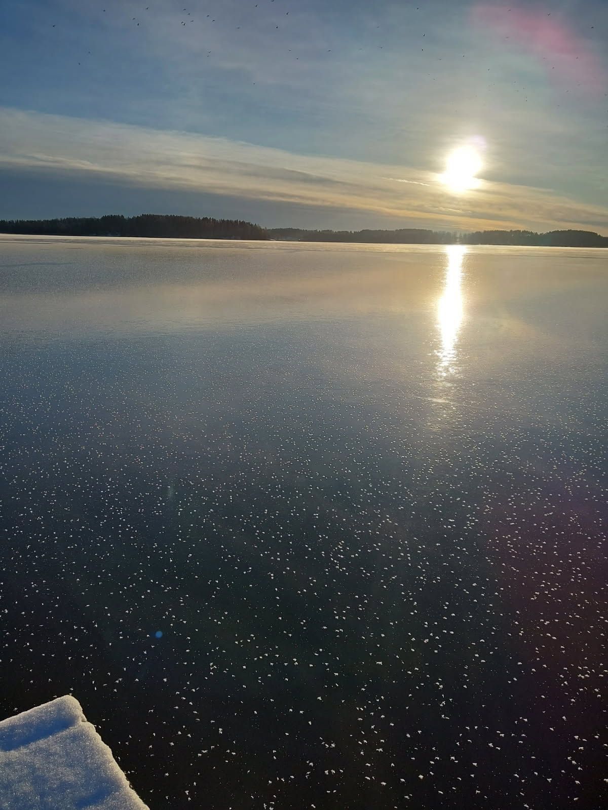 Hus på stor strandtomt vid sjön Mälaren – bild 8 av 24