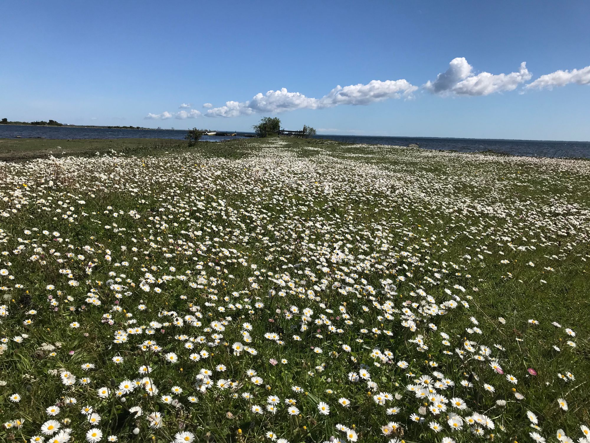 Fritidshus med unikt läge vid Kalmarsund – bild 19 av 24