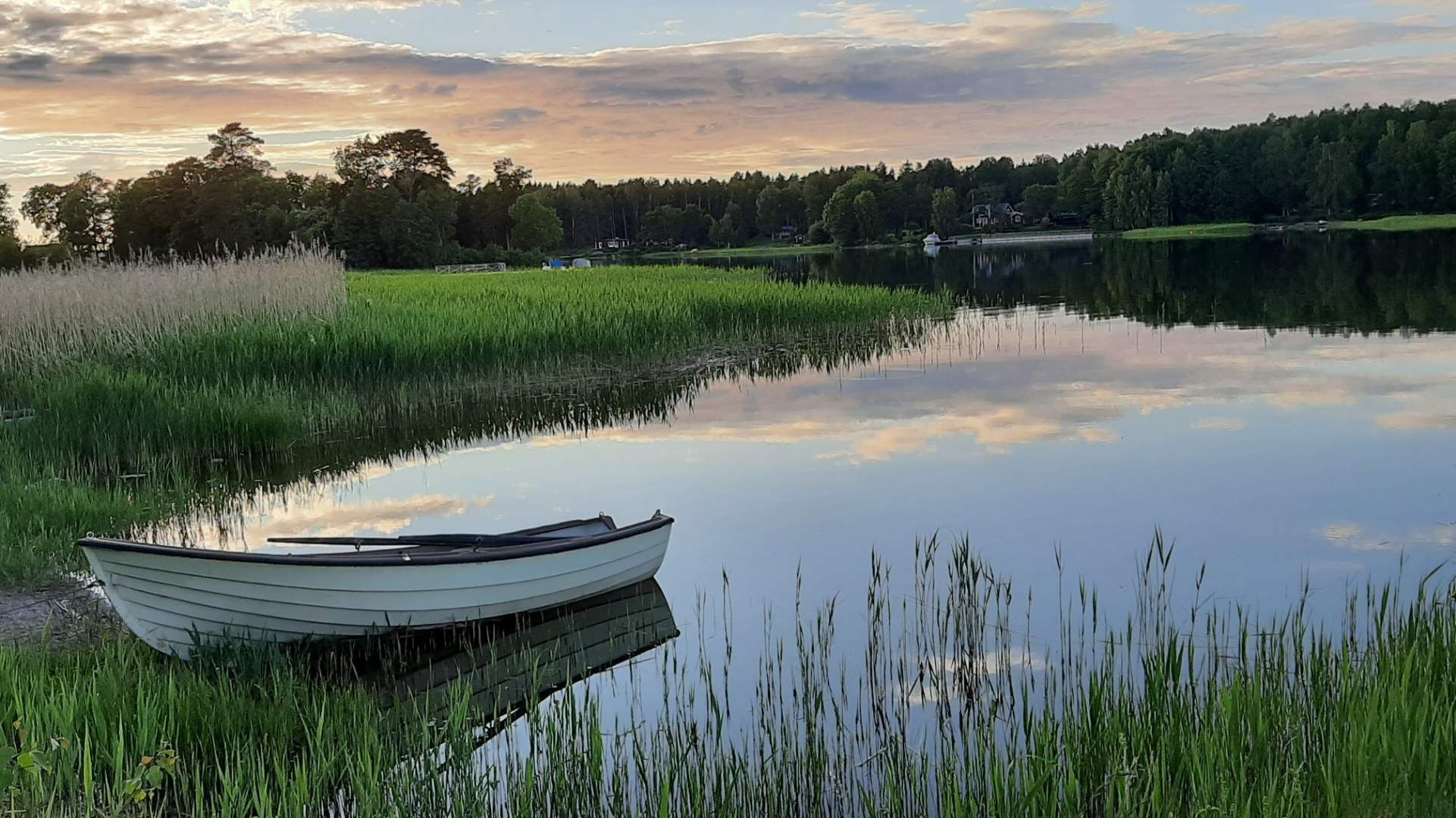 Enkelt boende i vår "Drängstuga" på Svedens gård – bild 14 av 17