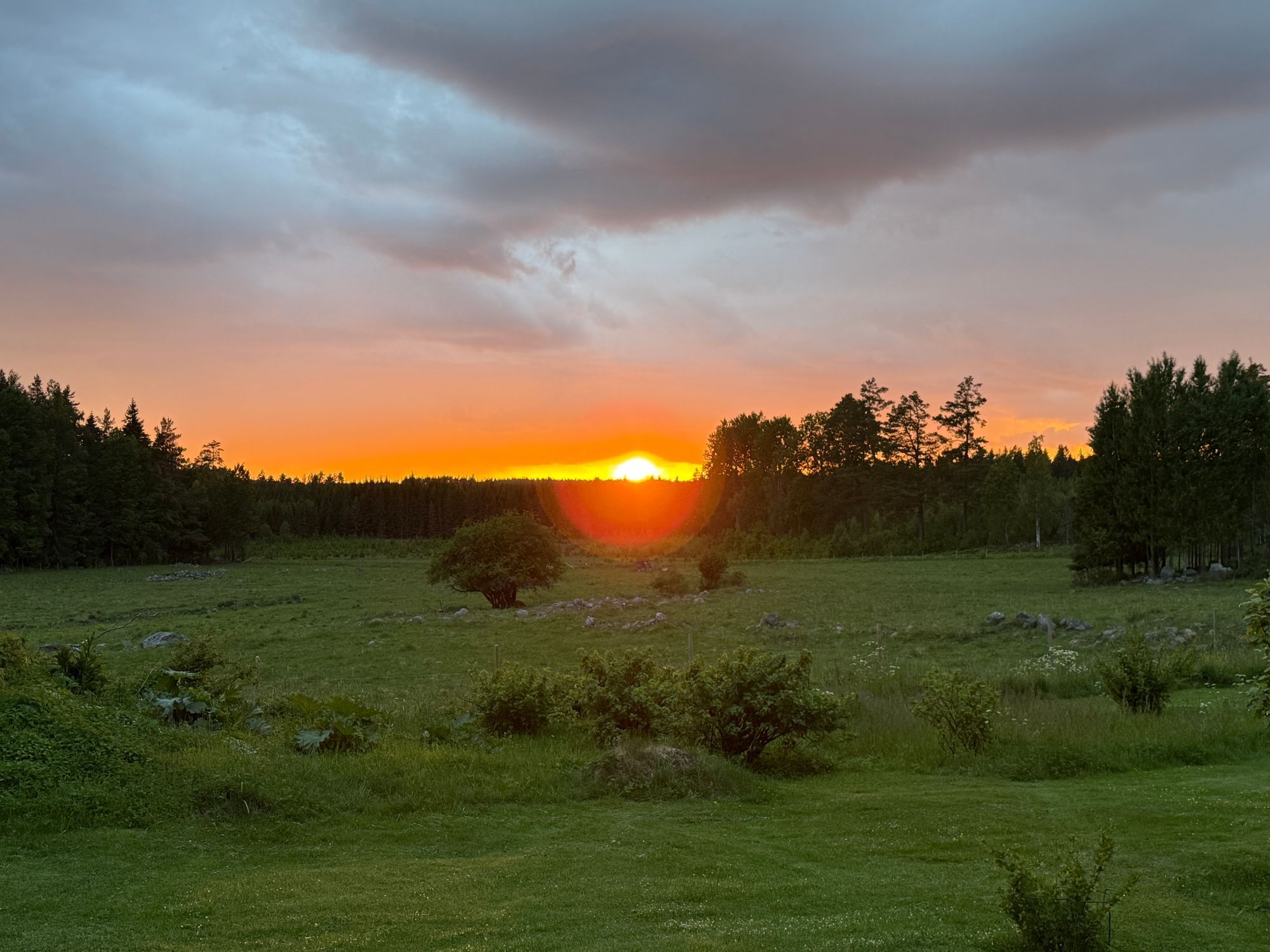 Torp på landet med närhet till naturliv och sjö. – bild 3 av 13