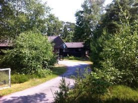 Höllviken Falsterbo Cottage Sweden - bird watching