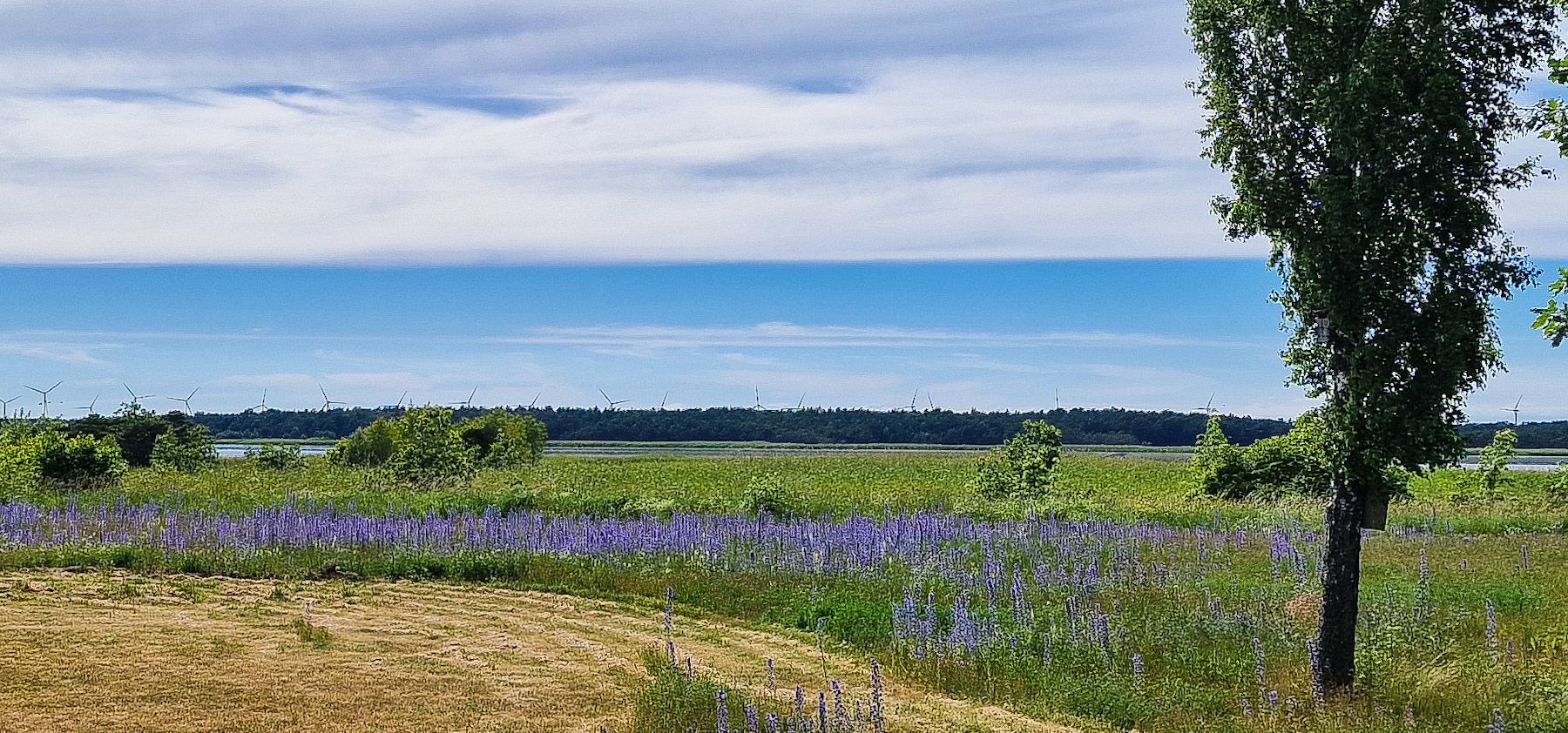 Fint i Fidenäs – bild 2 av 24