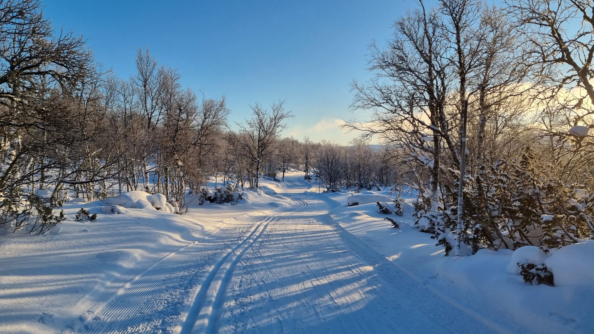 Stuga i Funäsdalen med 8 + 2 bäddar #33161 – bild 4 av 24