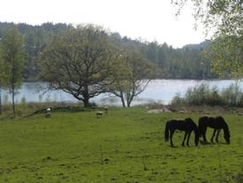 Prisvärd lantlig stuga nära bad/fiskesjö o havet.