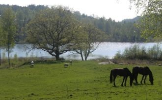 Prisvärd lantlig stuga nära bad/fiskesjö o havet.