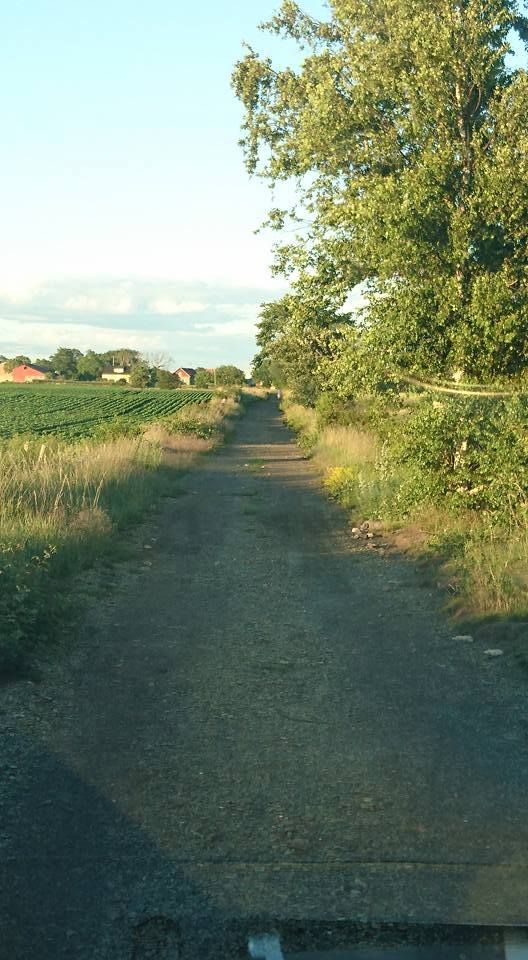 Stuga S Öland Med Havusikt & nära till golfbana – bild 17 av 20