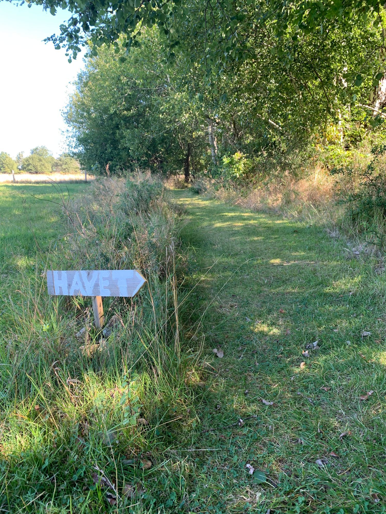 Stort sekelskifteshus i Skäret – bild 12 av 16