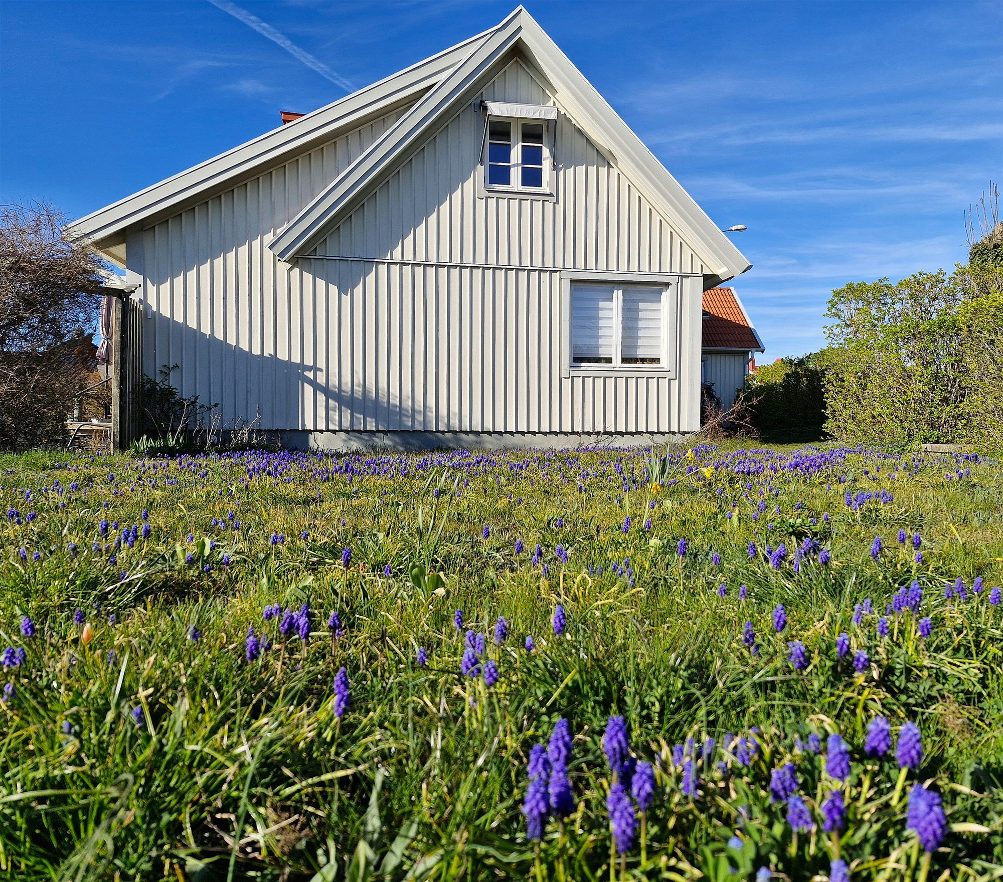Havsutsikt och 50m till badstrand – bild 4 av 24