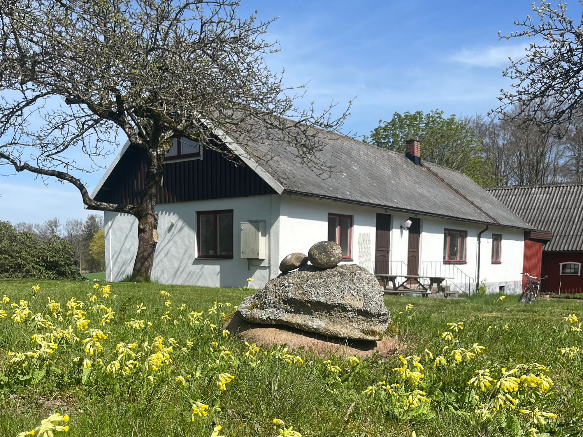 Skogsnära ferieboende på Linderödsåsen – bild 4 av 23