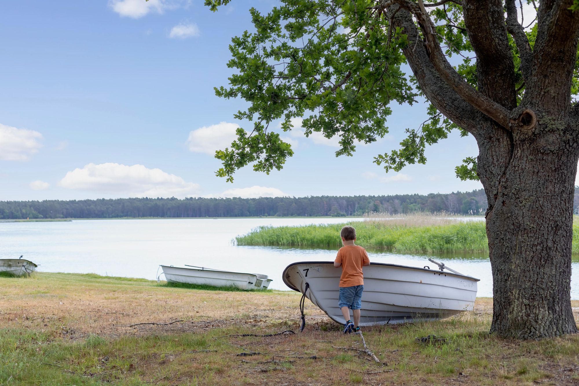 Böda, Byxelkrok, Grankullavik 50m till bad / havet – bild 21 av 23