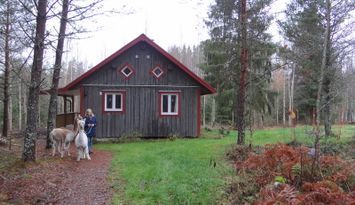 Mysig stuga på en alpackagård