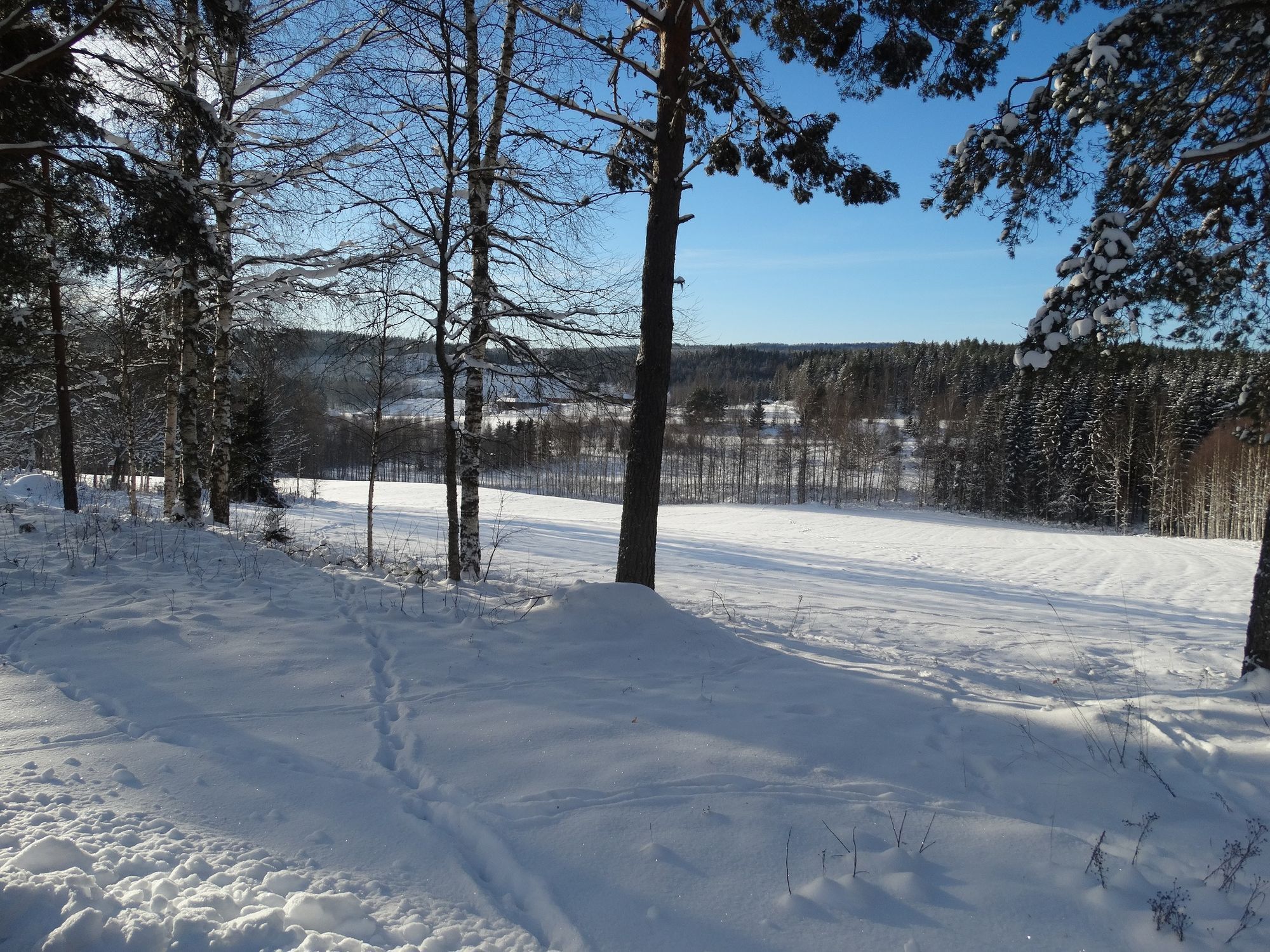Mysig stuga nära Torsby – bild 24 av 24