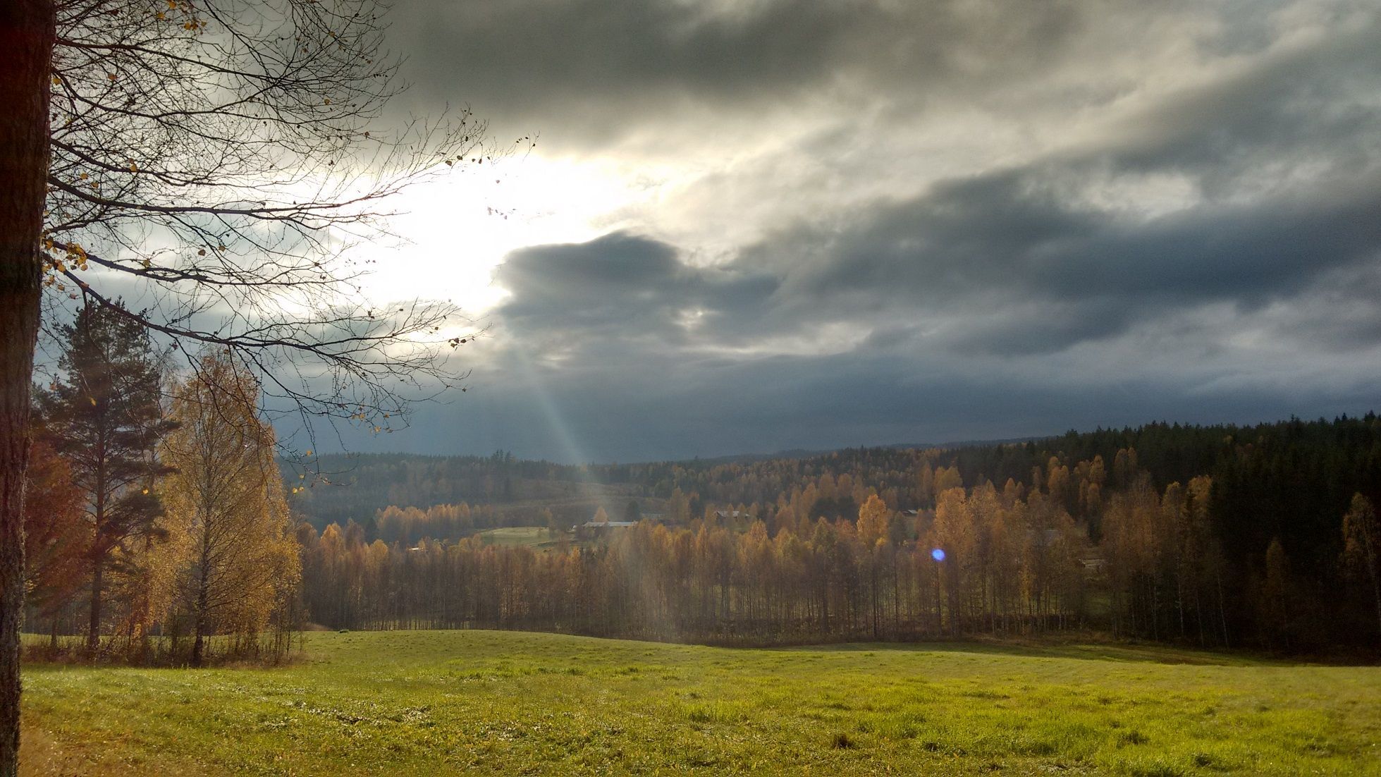 Mysig stuga nära Torsby – bild 23 av 24
