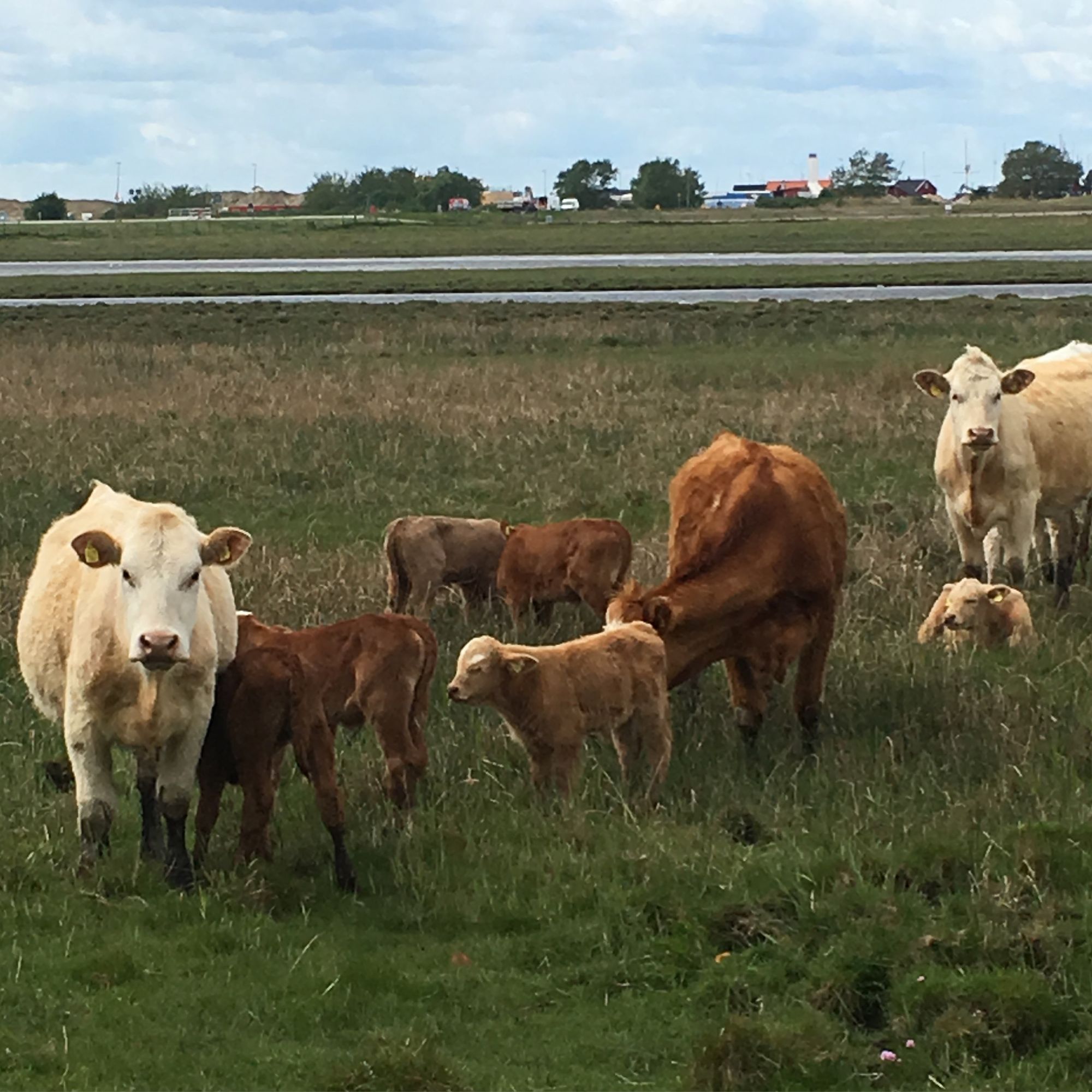 FALSTERBO annex m nytt badrum! – bild 18 av 18