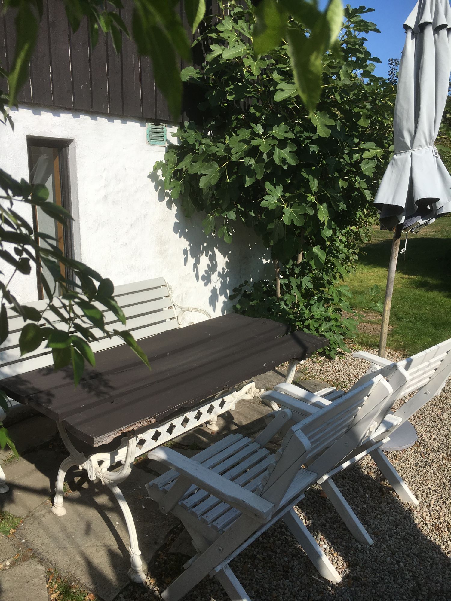 Kåseberga, Österlen - Skånehus. – bild 20 av 24