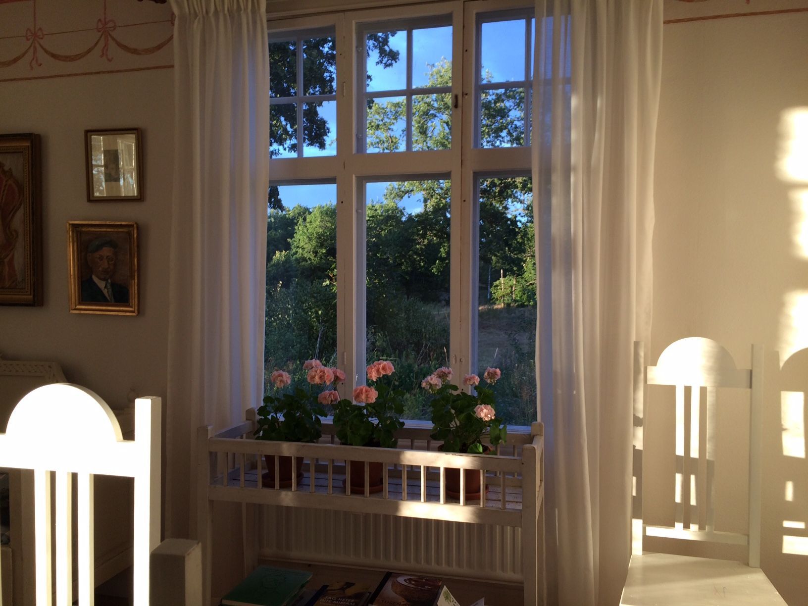 Fiske och skogspromenader mitt i Glasriket. – bild 4 av 11