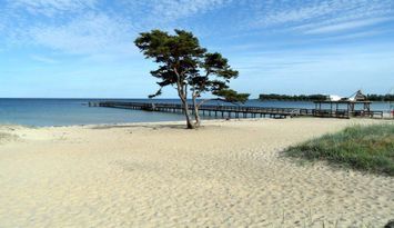 Jättefin stuga nära strand, pool, brygga i Åhus