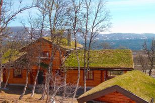 Magnificent logg cabin with grasroof