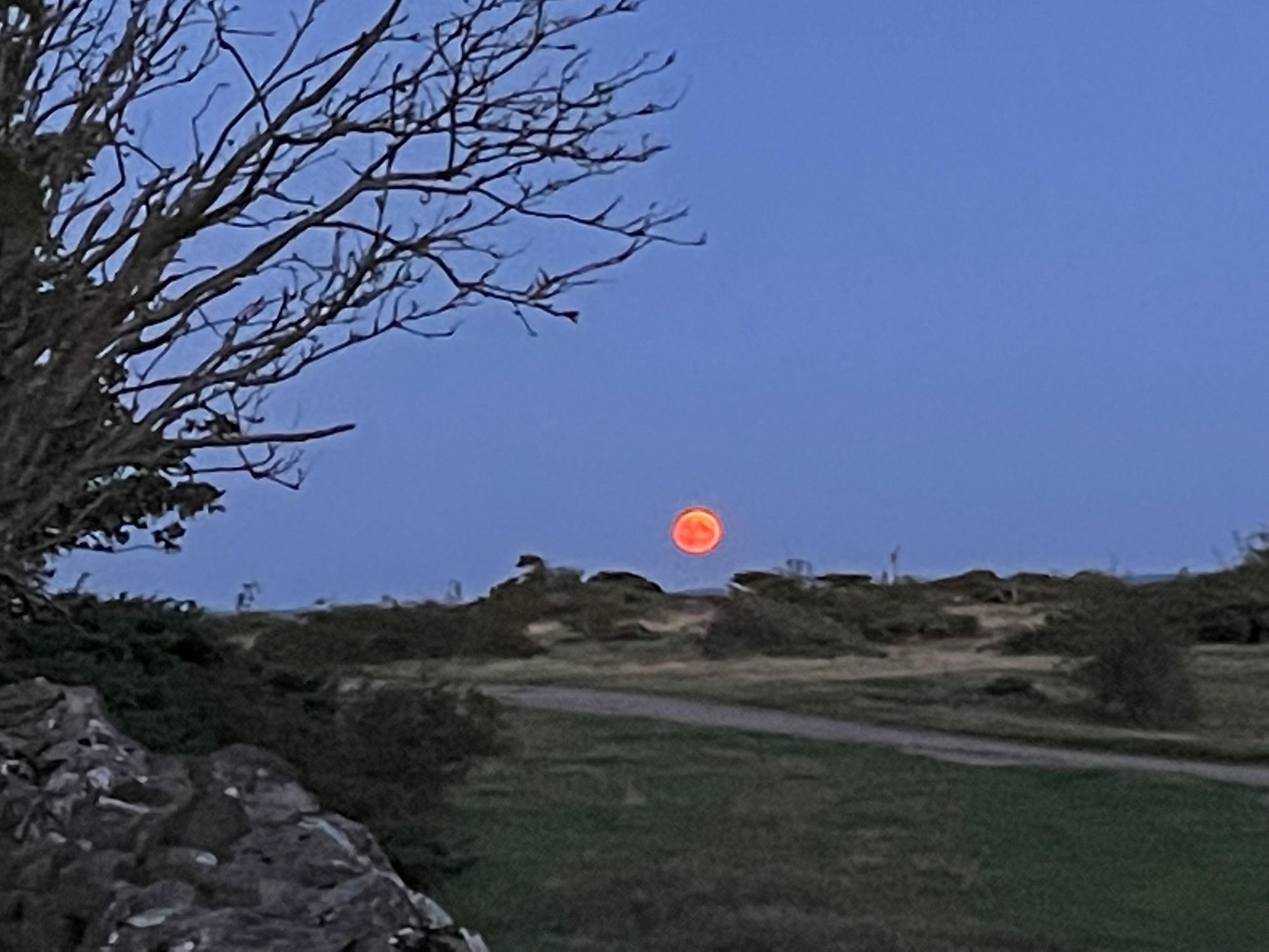 Stuga närmast havet och nära Torekov – bild 3 av 4