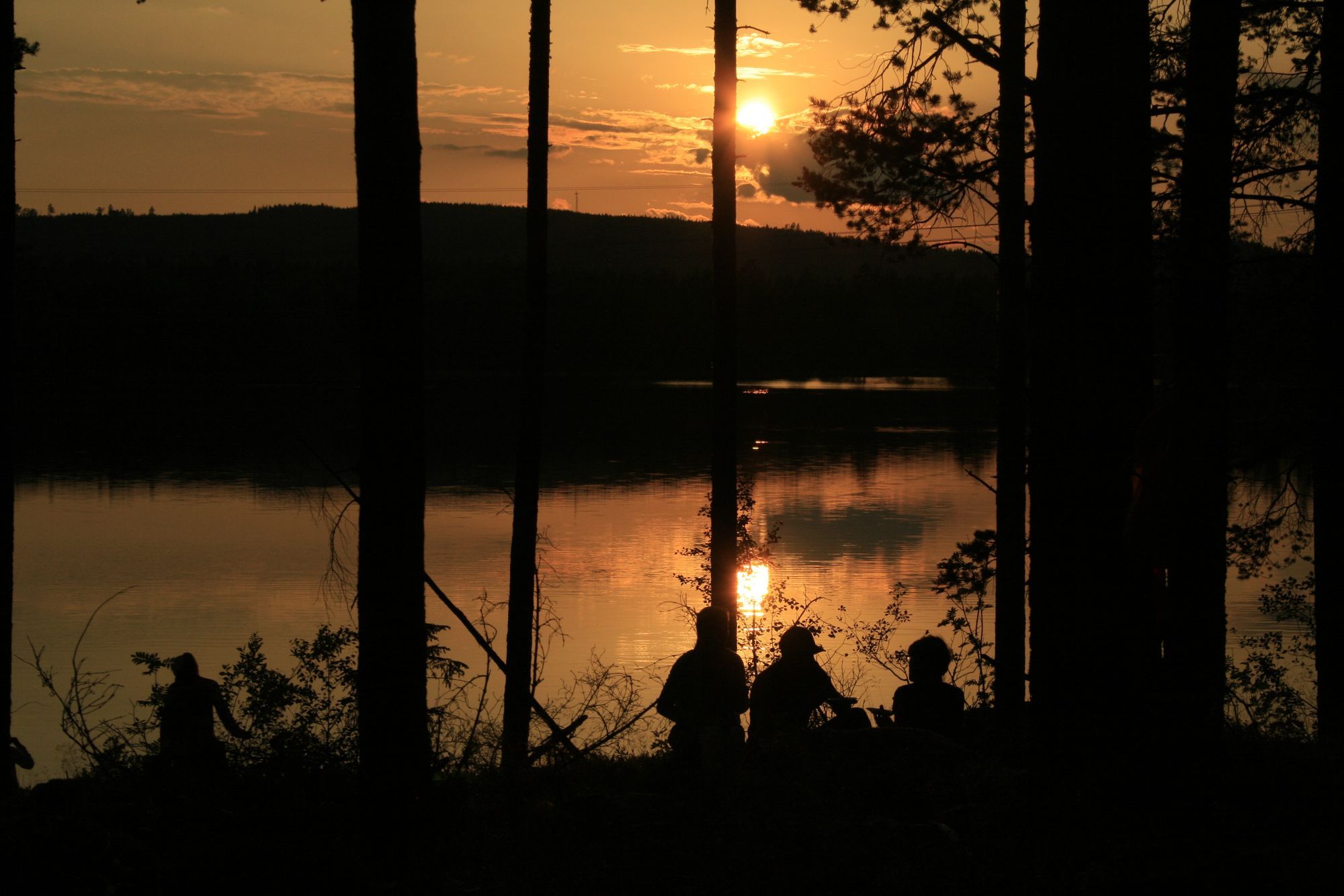 Sjötomt, roddbåt & bastu i lantlig skogsmiljö. – bild 19 av 24