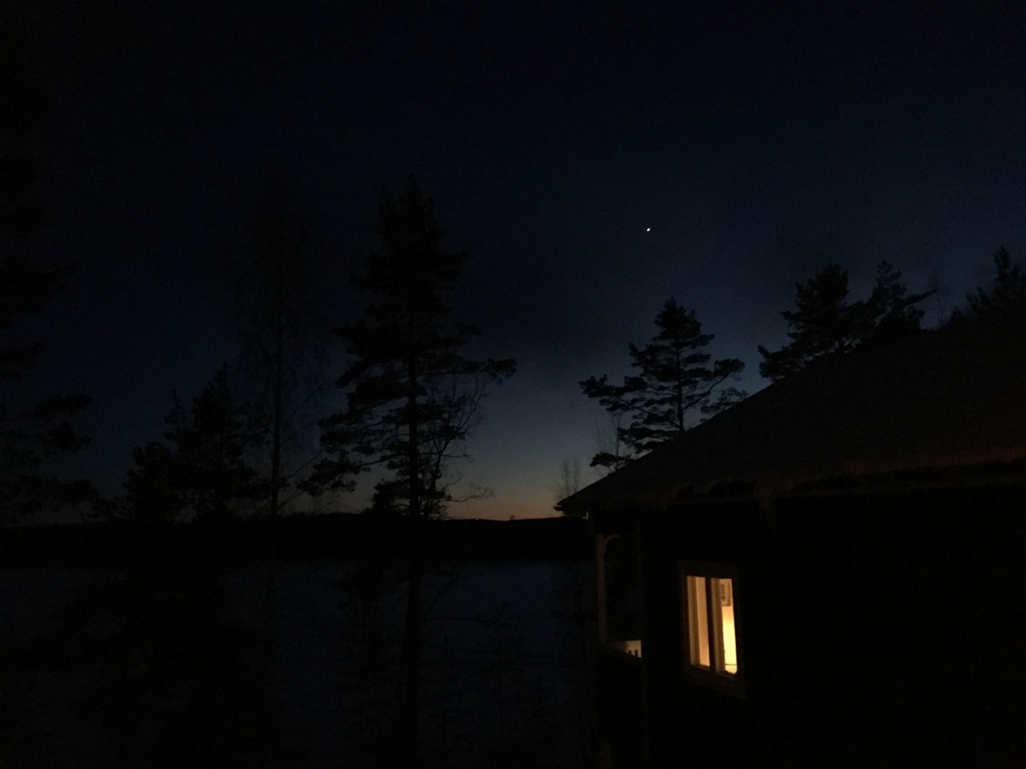 Sjötomt, roddbåt & bastu i lantlig skogsmiljö. – bild 22 av 24