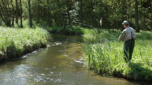 Strandstuga, egen sjötomt, sandstrand,brygga o båt – bild 14 av 24