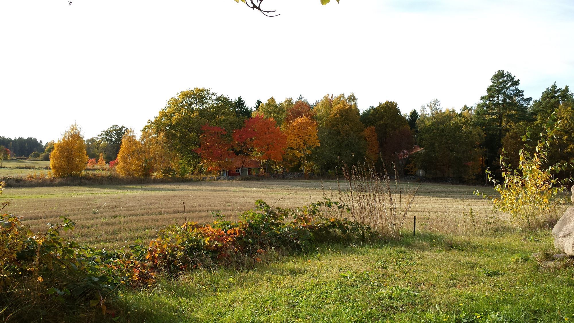 For Companies/private between Kalmar-Mönsterås – bild 13 av 24