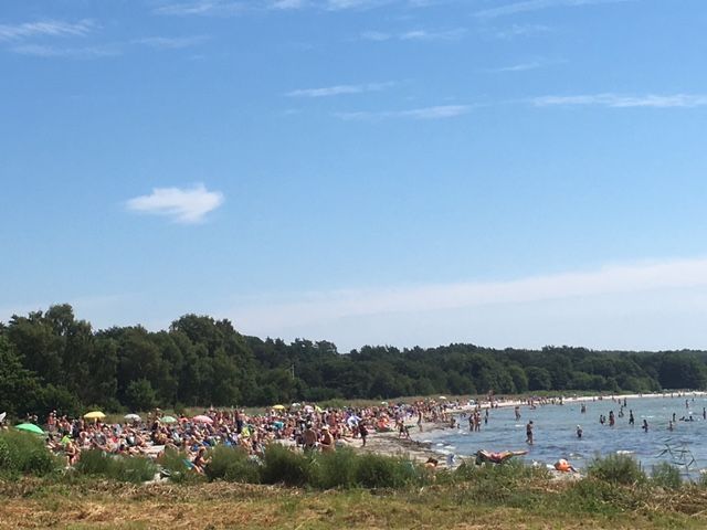 Havsnära pärla, Sölvesborg,  Österlen – bild 19 av 24
