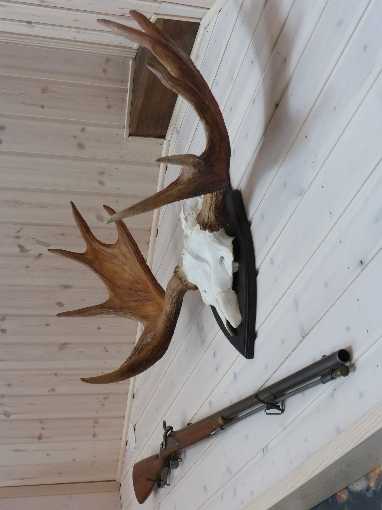 Forneby Hill Bed & Car – bild 6 av 24