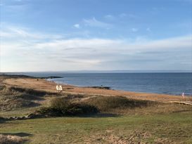 Mysig stuga nära havet