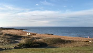 Mysig stuga nära havet i Laxvik