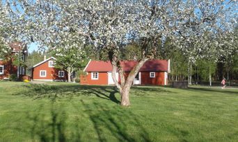 Mysig stuga i idyllisk småländsk miljö
