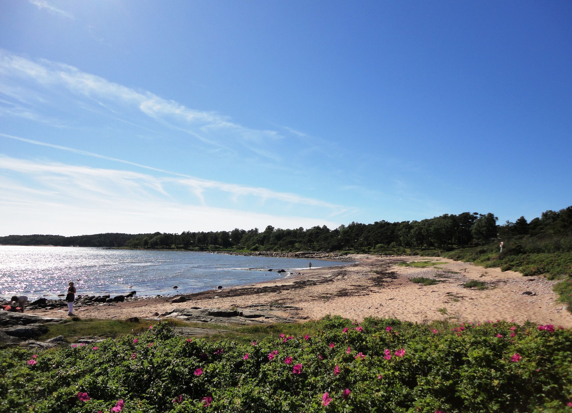 Stuga vid havet - nära golf – bild 3 av 14