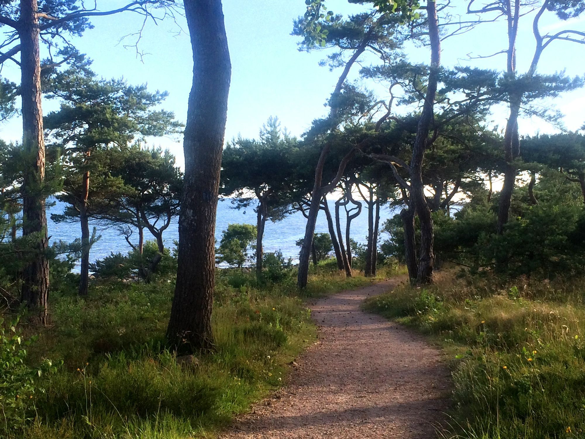 Stuga vid havet - nära golf – bild 2 av 14