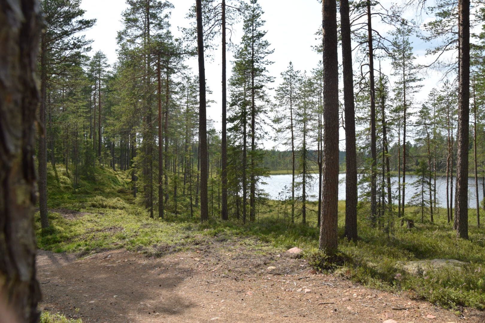 Mitt i Vasaloppet, 6-16 bäddar, Bastuavd – bild 21 av 24