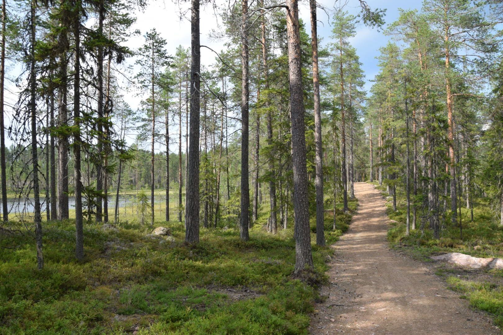Mitt i Vasaloppet, 6-16 bäddar, Bastuavd – bild 23 av 24